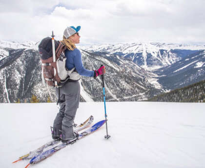 Ski Travel Bag